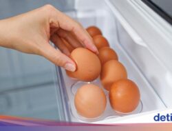 Haruskah Telur Dicuci Sebelumnya Masuk Kulkas atau Dimasak? Ini Saran Ahli Kelaparan Global