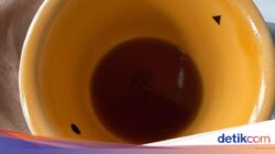 Pencinta Minuman Wajib Tahu, Bentuk Cangkir Ternyata Bisa Pengaruhi Rasa