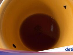 Pencinta Minuman Wajib Tahu, Bentuk Cangkir Ternyata Bisa Pengaruhi Rasa