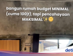 Modal Rp 100 Juta Tanpa Arsitek, Rumah Mezzanine Wanita Depok Ini Viral